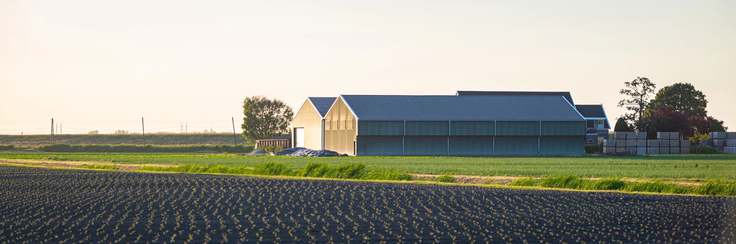 Agricultural facility and fields panorama