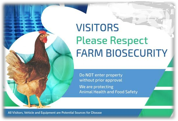 Poultry farm biosecurity — supplied brochure page 8