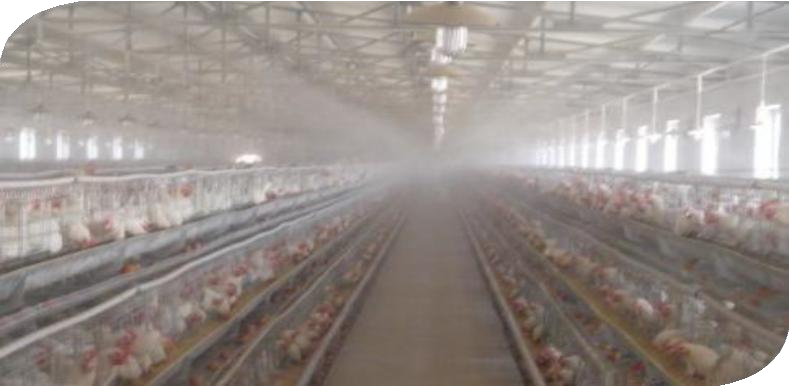 Poultry house misting and fogging — supplied brochure page 11
