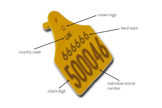 Ear tag — AGRO slide 20